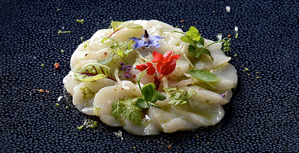 Slider-carpaccio-de-st-jacques